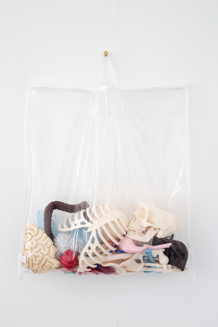 vue d'exposition de l'installation intitulée "Indemne 1", montrant un squelette et des organes éducatifs en plastique, en kit contenu dans une pochette de rangement pour oreiller. Le tout suspendu sur une fine patère en laiton.