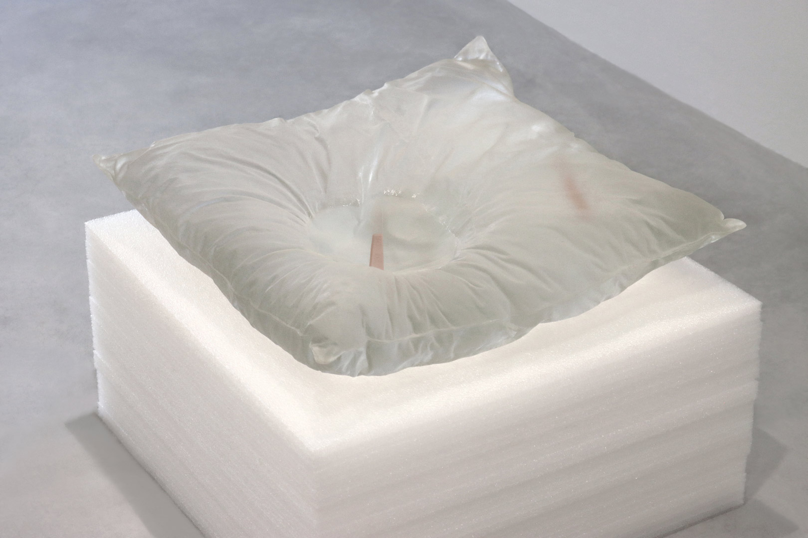 bottereau-fiquet-coussin