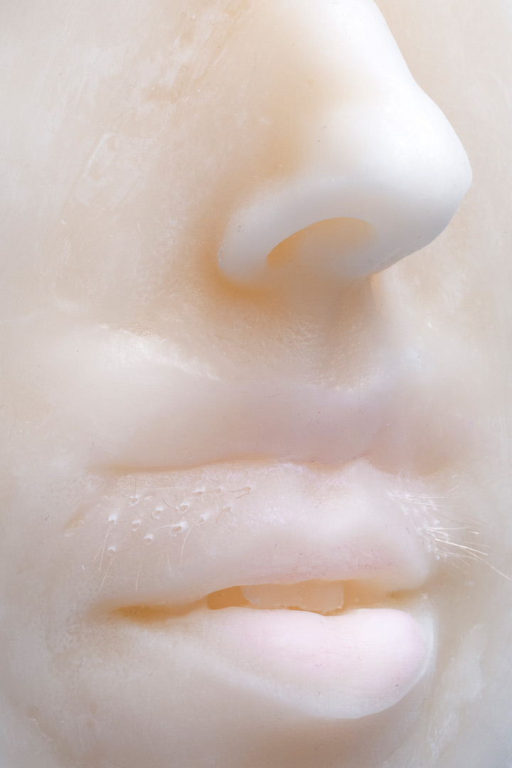Fragment de l'installation Spleen Spring. Focus sur forme en cire représentant le bas d'un visage doté d'une double bouche rougissante. Sur la lèvre intermédiaire se trouve un fin duvet blond.