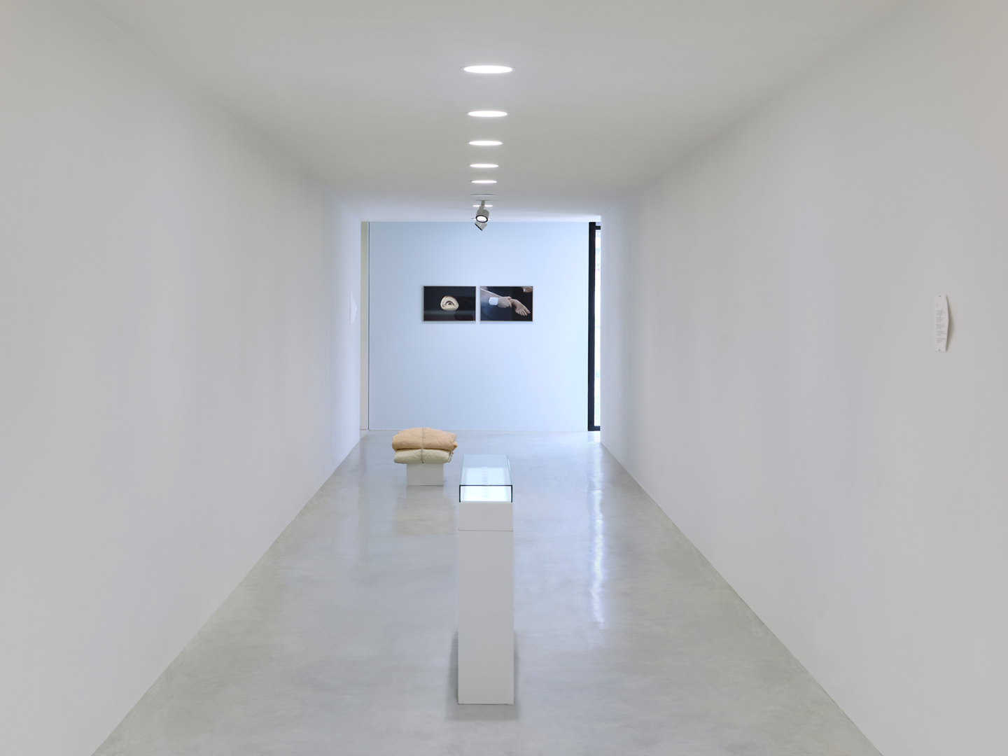 bottereau-fiquet-galerie