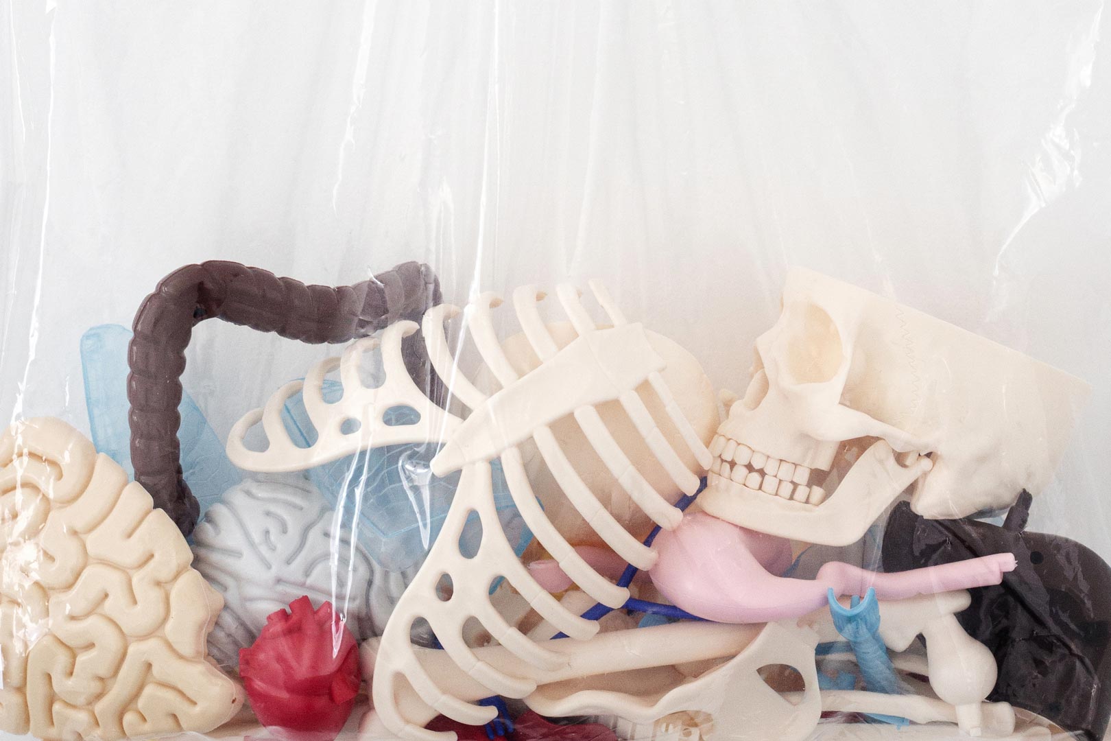 Focus sur l'installation intitulée "Indemne 1", montrant un squelette et des organes éducatifs en plastique, en kit contenu dans une pochette de rangement pour oreiller. Les fragments de corps en plastique sont morcelés, déposés en vrac.