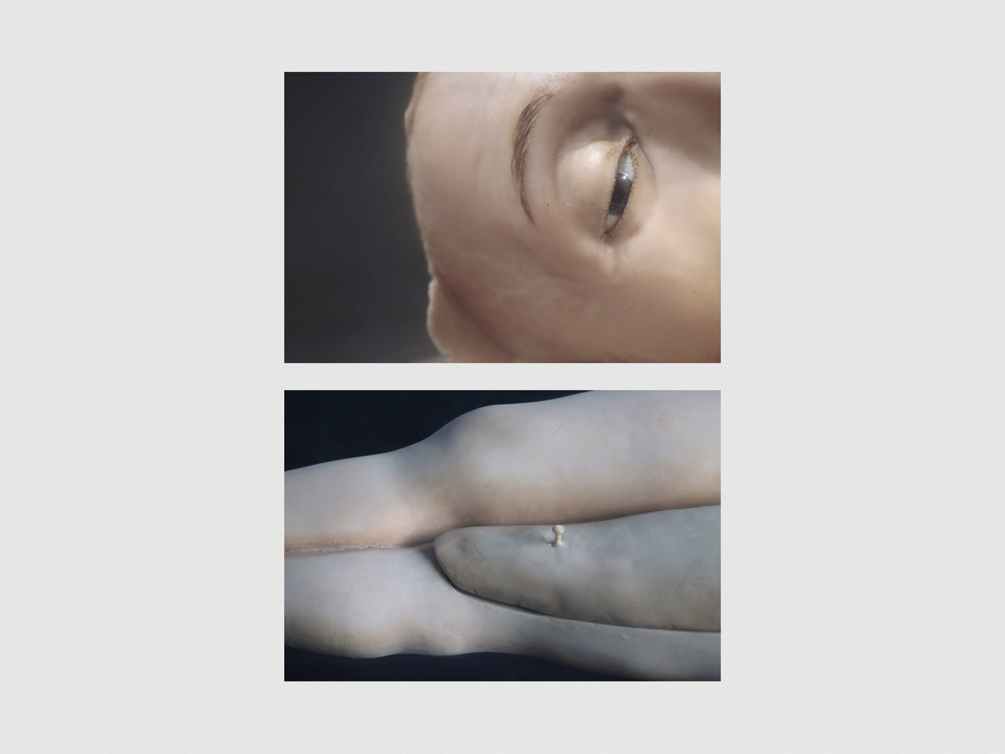 bottereau-fiquet-oeil