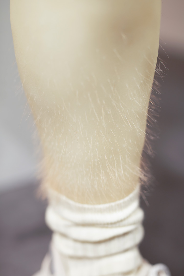Fragment de l'installation Summer Seum. Focus resserré sur une cheville permettant de détailler les fins poils roux implantés dans la cire